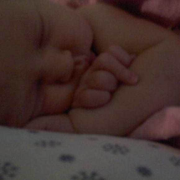 Meet your Posher, Renee - Picture 1 of 1